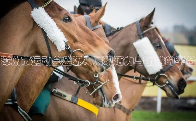 杏运体育官网入口