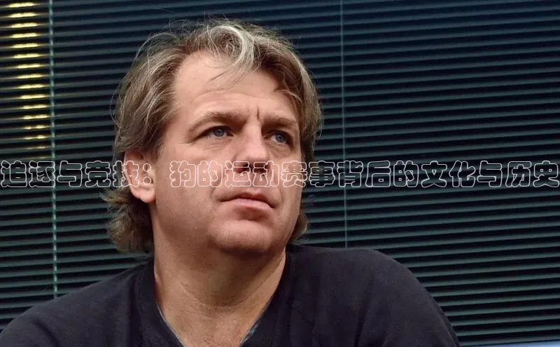 杏运体育app下载